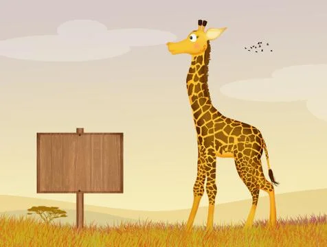 Illustration of giraffe Stock Illustration
