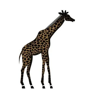 Illustration of giraffe Illustrazione stock