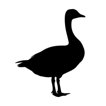 Illustration of a goose silhouette. Vector. Stock Illustration