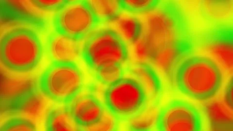 Illustration gradient multi colorful element abstract template background Stockbeeldmateriaal 343881448