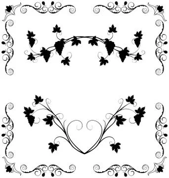 Illustration the grape twig ornate Stock Illustration