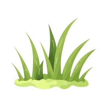 Illustration of grass Stock Illustration