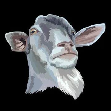 Illustration of gray goat head with a beard vector Illustrazione stock