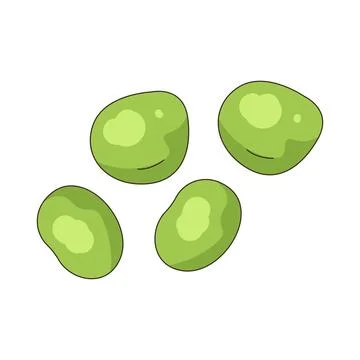 Illustration of Green bean Stock Illustration
