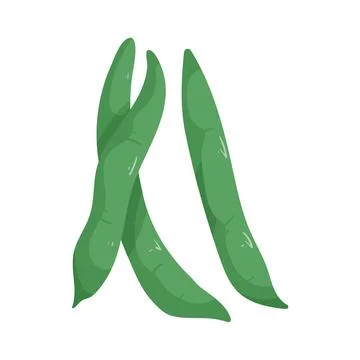 Illustration of green bean Stock Illustration