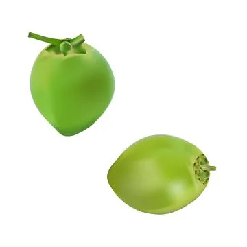 Illustration of green coconut vector design Stock Illustration