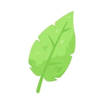 Illustration of green leaf Stock Illustration
