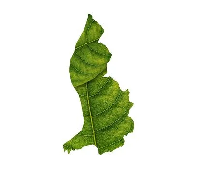 Illustration of a green leaf in a shape of a map isolated on the white backgroun Stock Photos