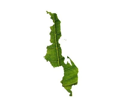 Illustration of a green leaf in a shape of a map isolated on the white backgroun Stock Photos