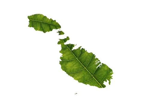 Illustration of a green leaf in a shape of a map isolated on the white backgroun Stock Photos