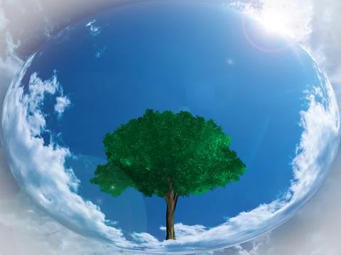 Illustration of a green tree in the celestial sphere. Stock Photos