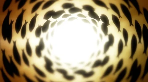 Illustration of a Group of Fish Swimming in Circle Stock Footage 64307124