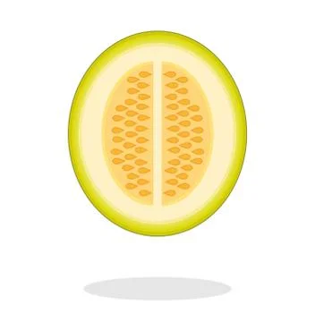 Illustration of a half melon with drop shadow. Isolated Stock-Illustration