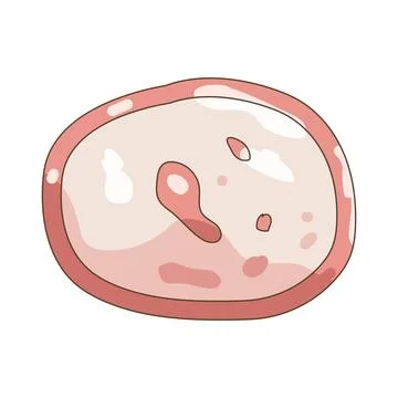 Illustration of ham slice Stock Illustration