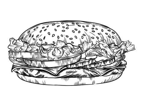 Illustration in the hamburger vector Stock Illustration