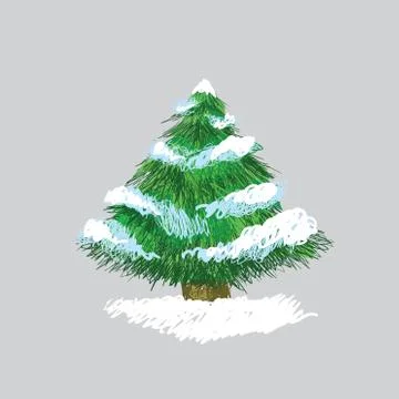 Illustration of hand drawn pine tree with snow, original sketch Stock Illustration