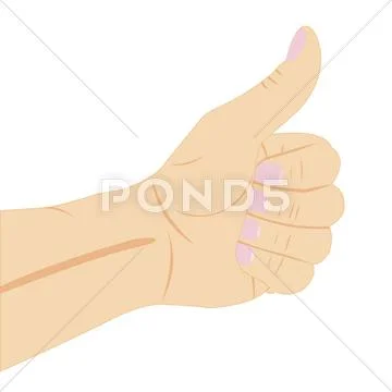 Illustration of the hand with gesture Stock Illustration
