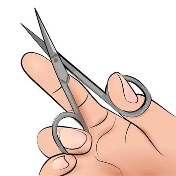 Illustration of a hand how to hold scissors correctly for a professional Stock Illustration