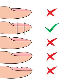 Illustration with hardware manicure technology. Correct formation of the nail Stock Illustration