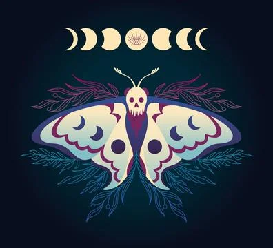 Illustration with hawk moth with phases of the moon Illustrazione stock