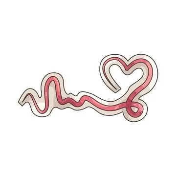 Illustration of Heart Stock Illustration