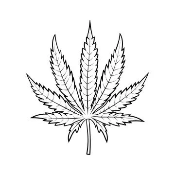 Illustration of a hemp leaf in a hand-drawn style. Illustrazione stock
