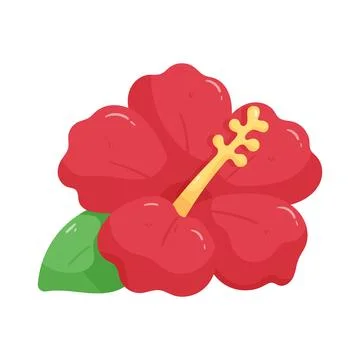Illustration of hibiscus Stock Illustration