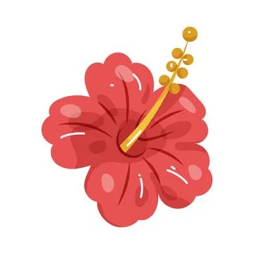 Illustration of hibiscus Stock Illustration