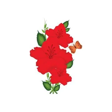 Illustration of hibiscus rose vector design Stock Illustration