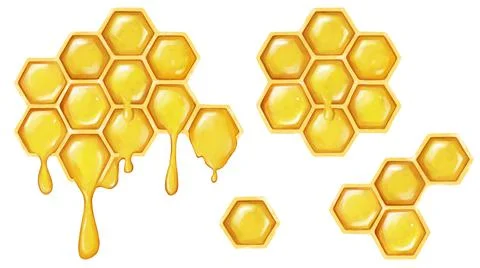 Illustration of honeycombs on a white background. Elements of honey for decor Stock Illustration