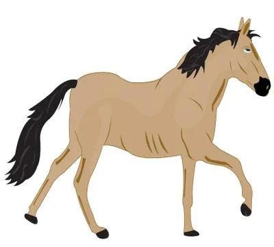 Illustration of a horse Stock Illustration