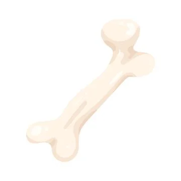 Illustration of human bone Stock Illustration