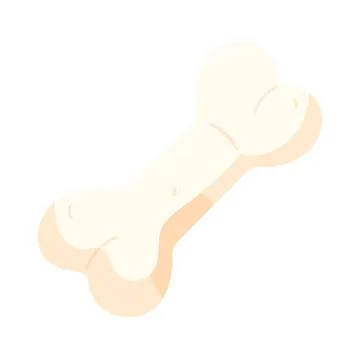 Illustration of human bone Stock Illustration