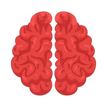 Illustration of human brain Stock Illustration