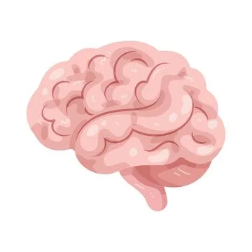 Illustration of human brain Stock Illustration