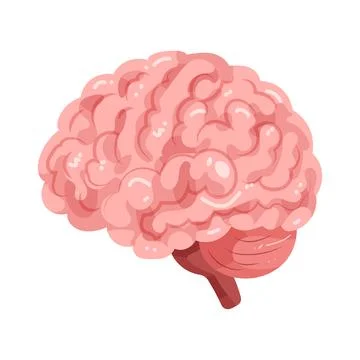 Illustration of human brain Stock Illustration