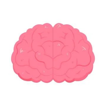 Illustration of human brain Stock Illustration