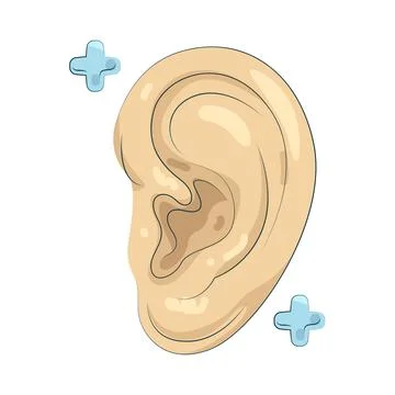 Illustration of human ear Stock Illustration