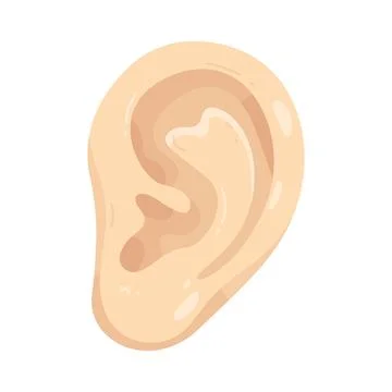 Illustration of human ear Stock Illustration