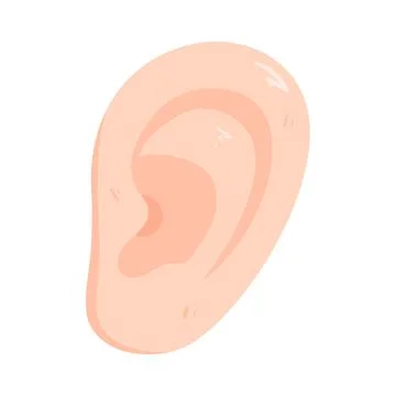 Illustration of human ear Stock Illustration
