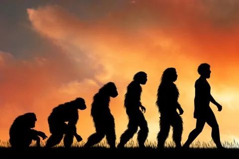 Illustration of human evolution Stock Illustration