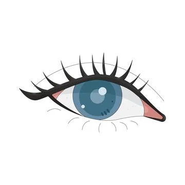 Illustration of human eye Stock Illustration