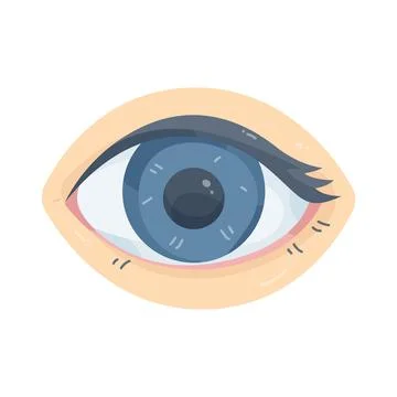 Illustration of human eye Stock Illustration