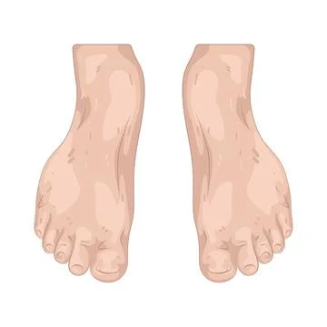 Illustration of human foot Stock Illustration