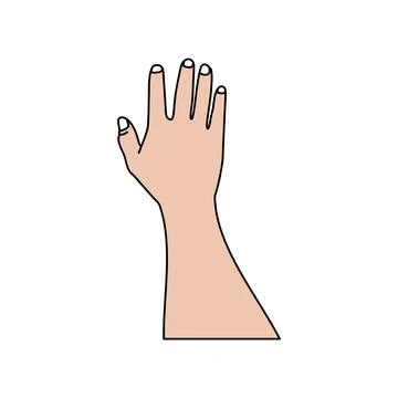 Illustration of human hands Stock Illustration