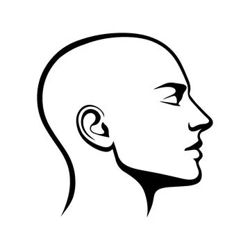 Illustration of a human head. Illustrazione stock