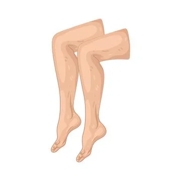 Illustration of human leg Stock Illustration