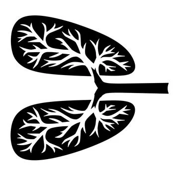 Illustration of human lungs.  Stock Illustration