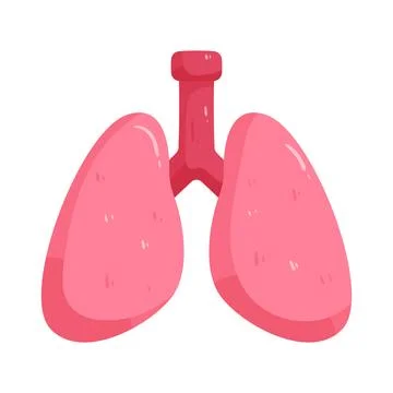 Illustration of human lungs Stock Illustration