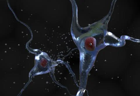 Illustration of the human nerve cell 3d illustration Stock Illustration